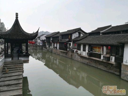 “探索知识星球平台,加入茶叶中的茶氨酸有何作用?获得独家深度学习”